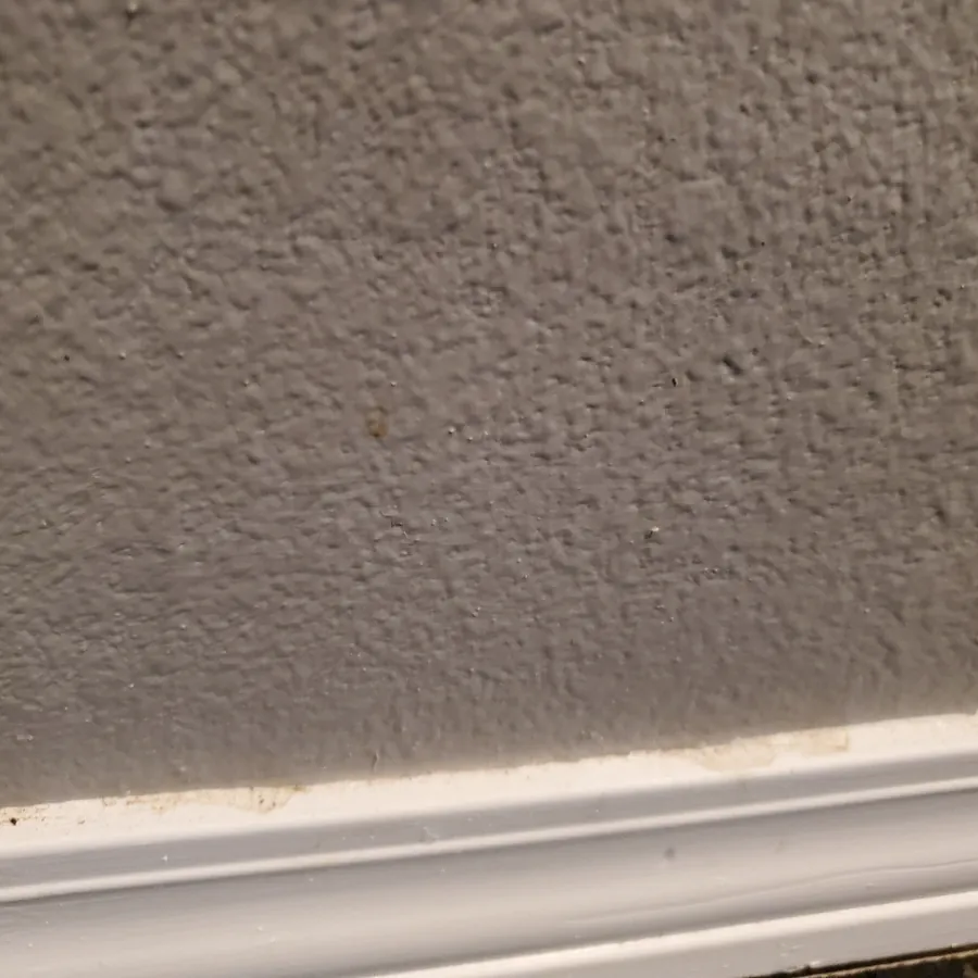 The same baseboard up close before cleaning, with dust along the top edge