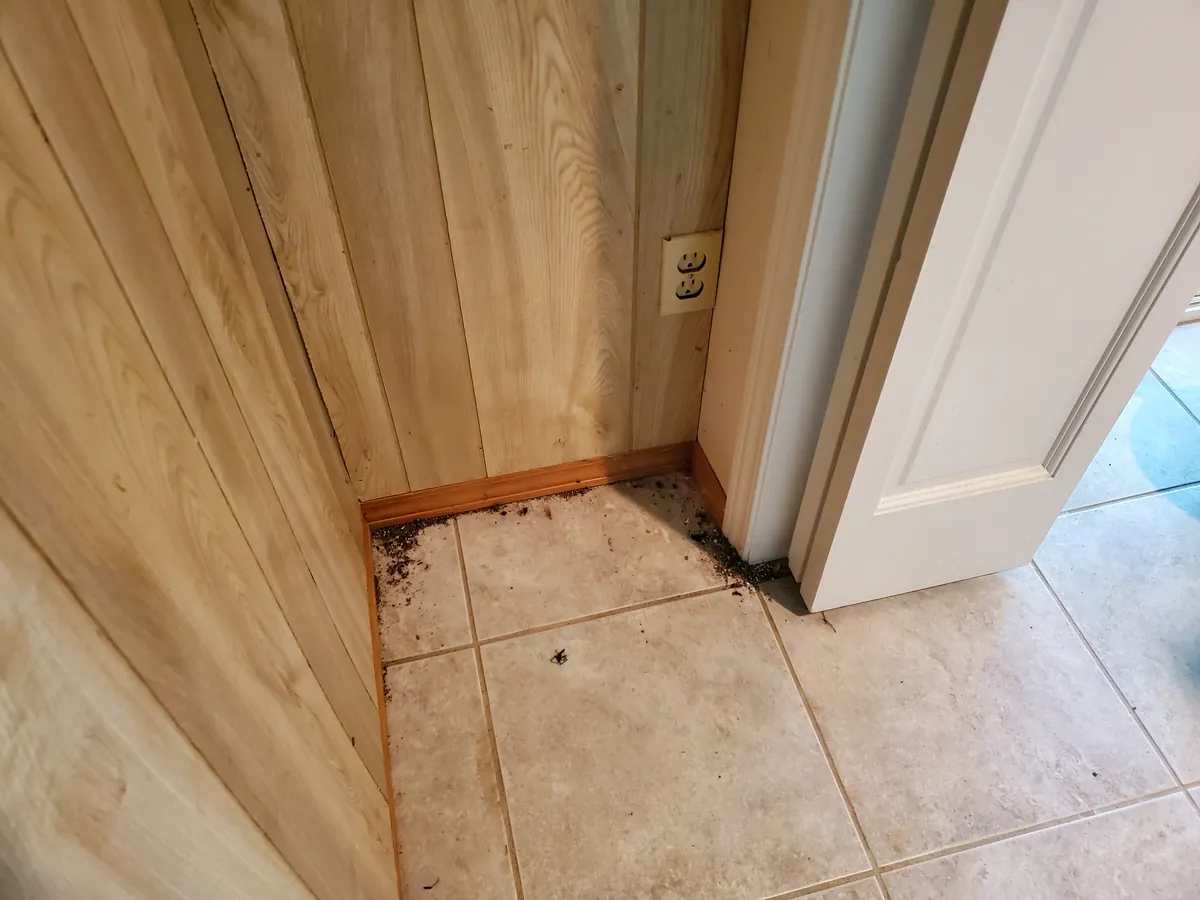 The same closet floor before cleaning, with dirt and debris along the baseboard