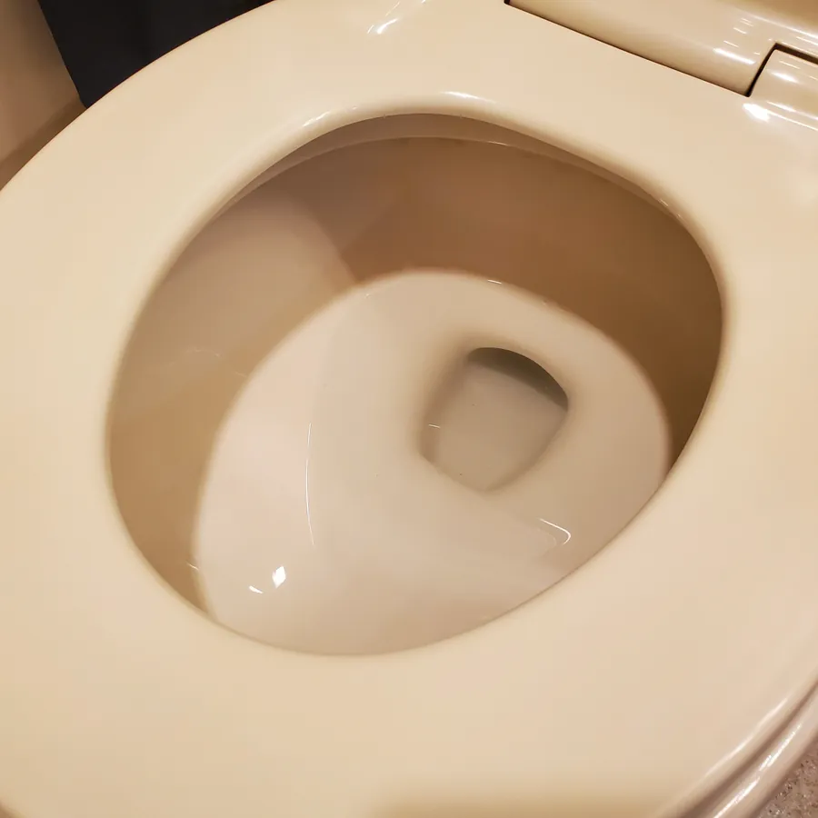 Toilet bowl up close after cleaning