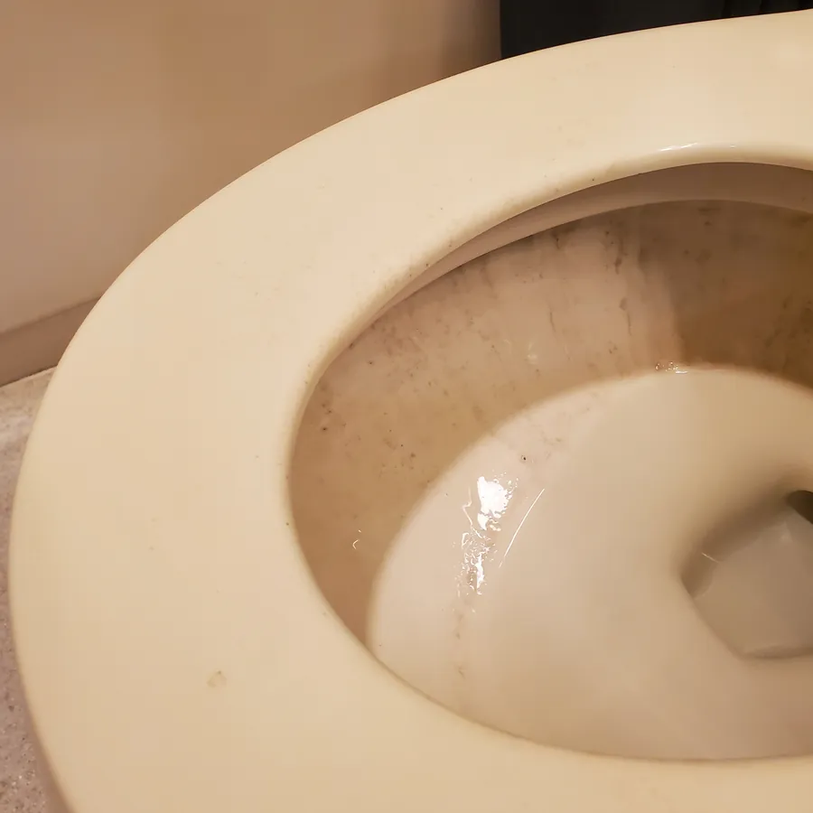The same toilet bowl up close before cleaning, with streaks and residue
