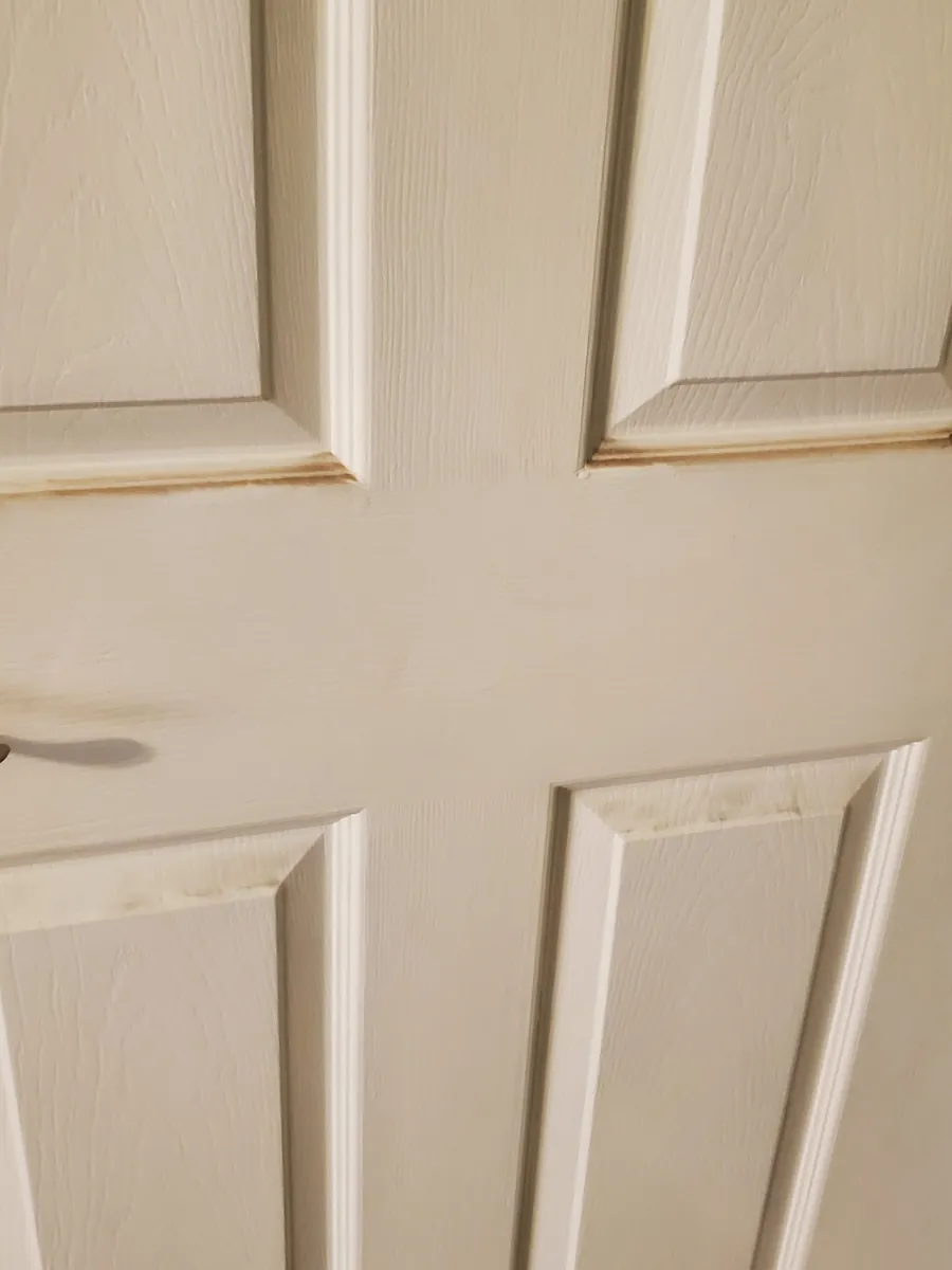 The same door before cleaning, with smudges and grime on the panels