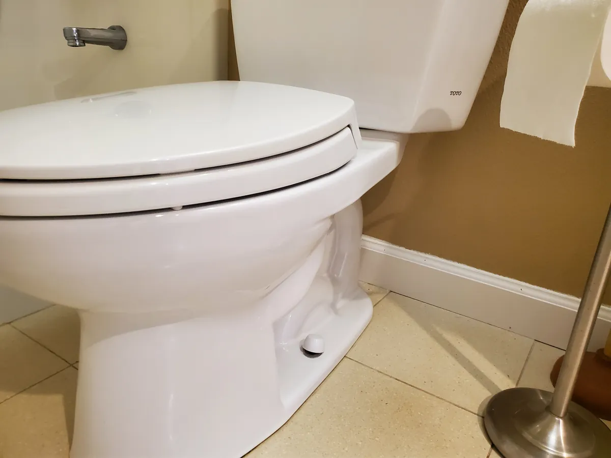 Toilet after cleaning, bright and clean