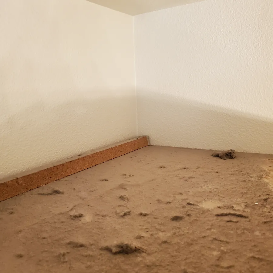 The same cabinet top before cleaning, thick with dust